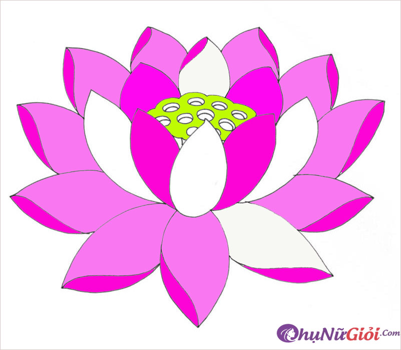 Tuyển tập các bức tranh tô màu hoa sen đẹp nhất cho bé tô màu   thptphamhongthaieduvn