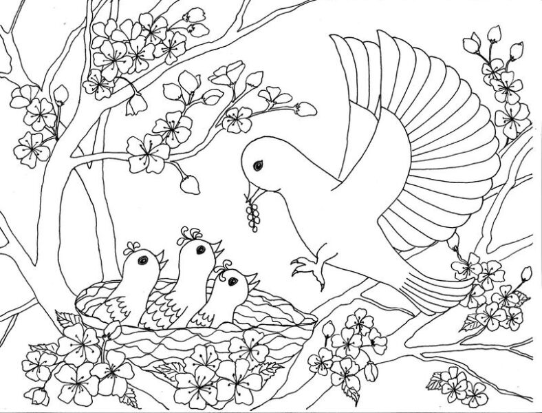 Tranh tô màu phong cảnh mùa xuân với những chú chim, cành hoa đào