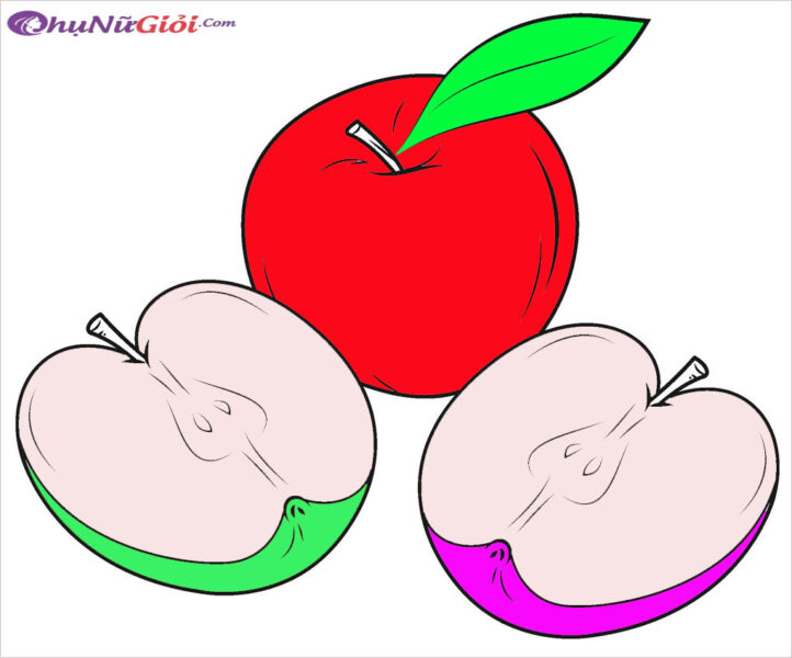 Khám phá với hơn 75 tranh vẽ quả táo không thể bỏ qua  thtantai2eduvn