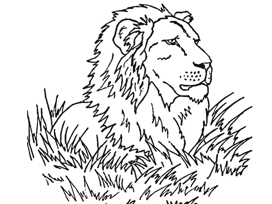 Tuyển tập tranh tô màu con sư tử oai phong mạnh mẽ cho bé   c3nguyentatthanhhpeduvn