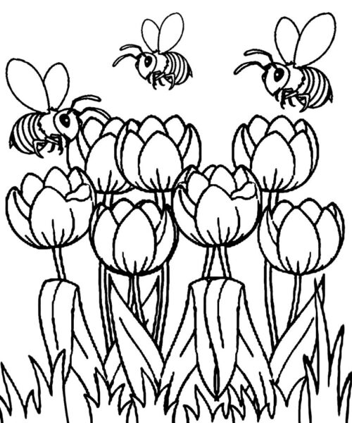 Tranh tô màu vườn hoa và những chú ong