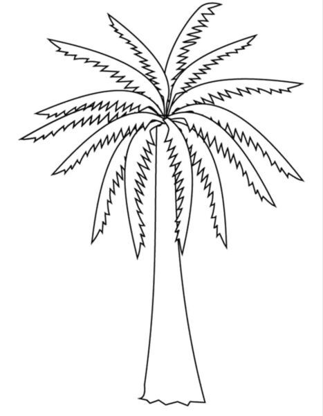 Tranh vẽ cây dừa đơn giản cho bé tô màu