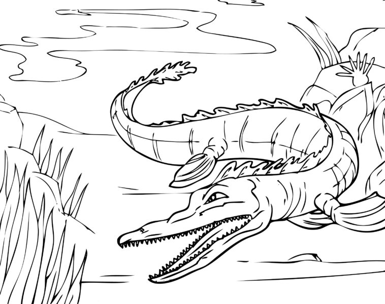 Tranh vẽ chưa tô màu cá sấu cho bé tập tô