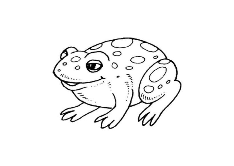 Tranh vẽ chưa tô màu con ếch