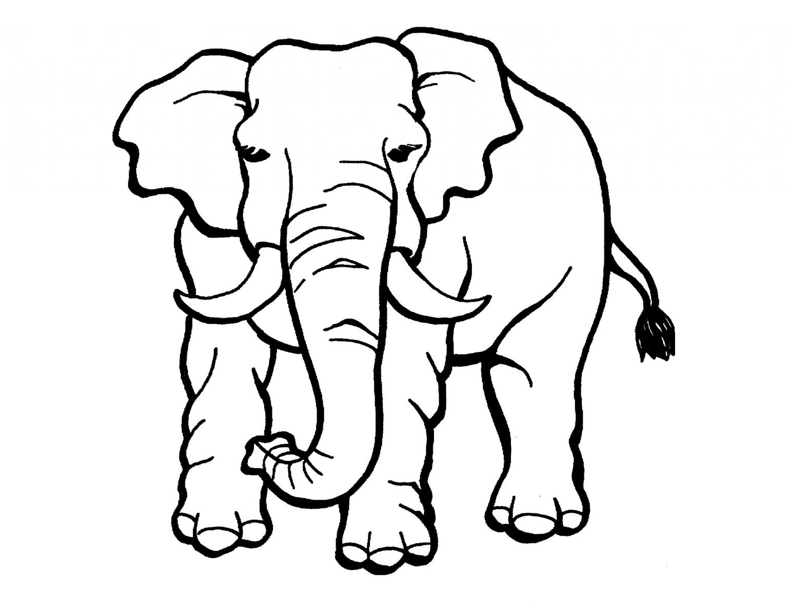 Tổng hợp 101 hình vẽ con voi đẹp hay nhất  Tin Học Vui