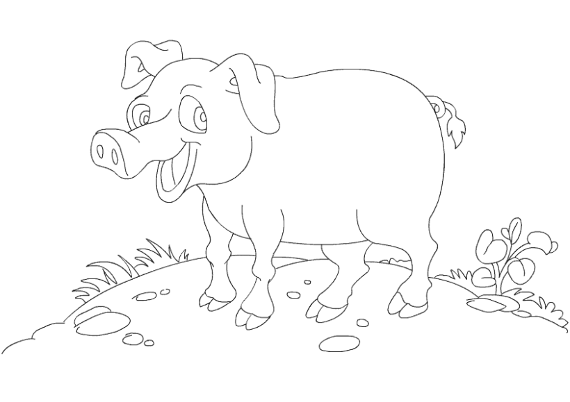 Tranh vẽ con lợn cho bé tập tô