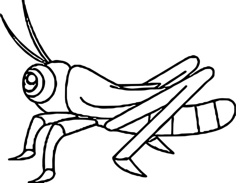 Tranh vẽ côn trùng hình con châu chấu