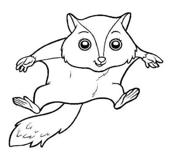 Ve Con Soc  Cách Vẽ Con SócHow to Draw a Squirrel  YouTube