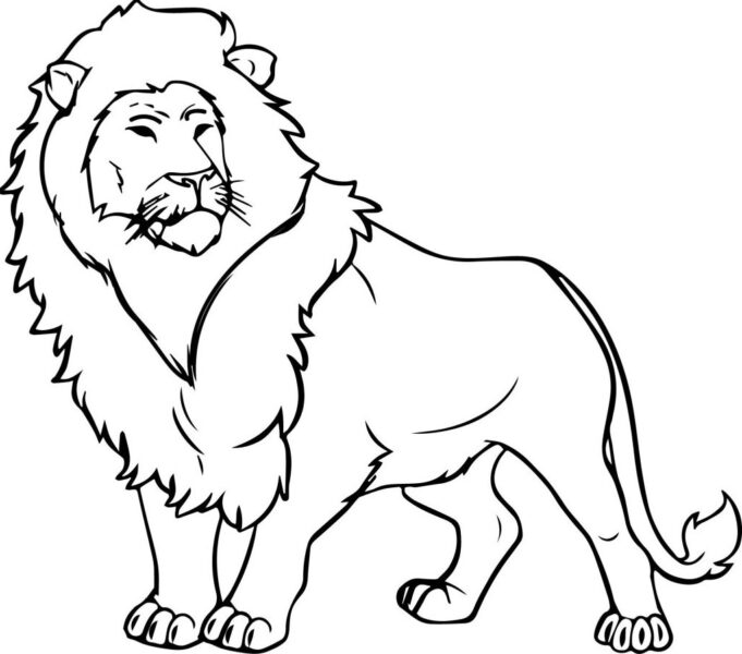 Tranh vẽ sư tử đơn giản cho bé tô màu