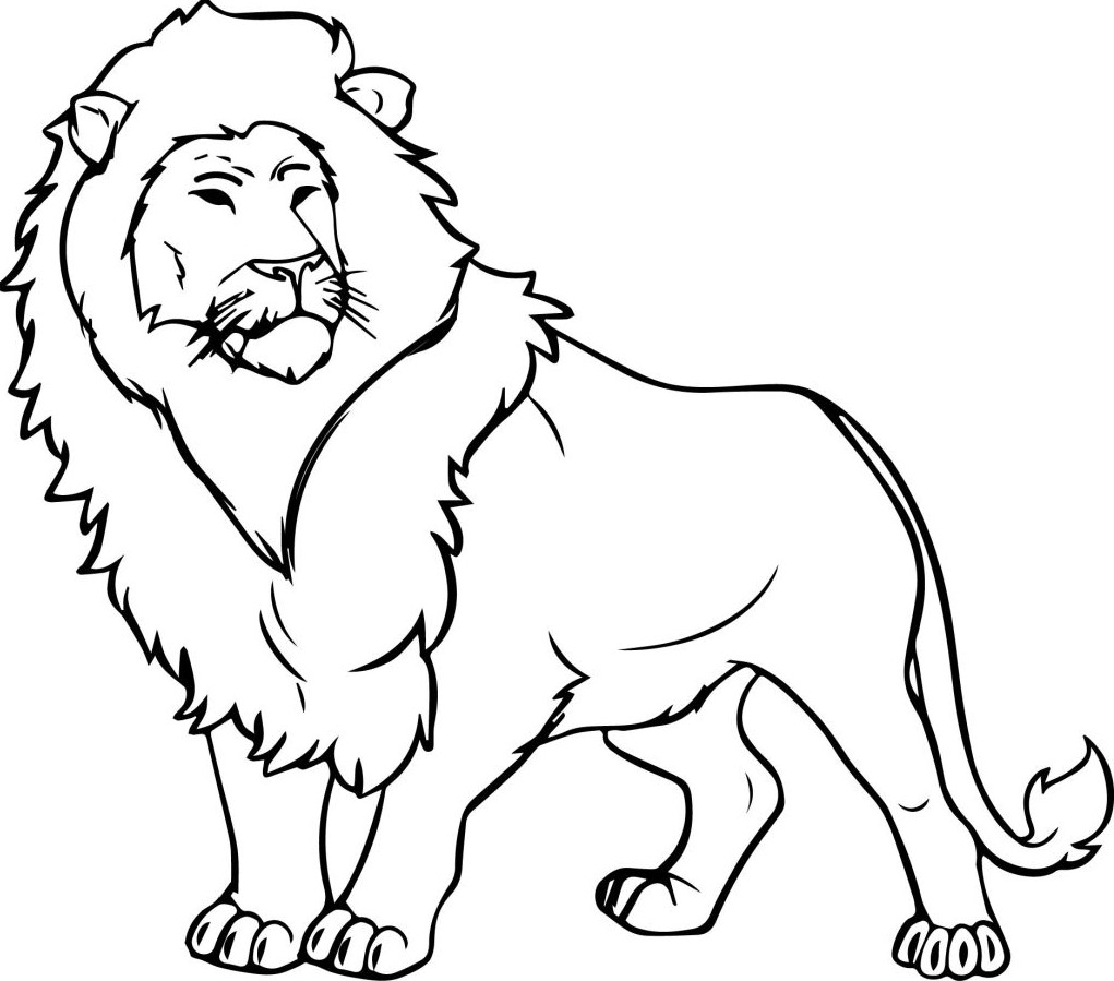 Xem hơn 100 ảnh về hình vẽ sư tử đẹp - daotaonec