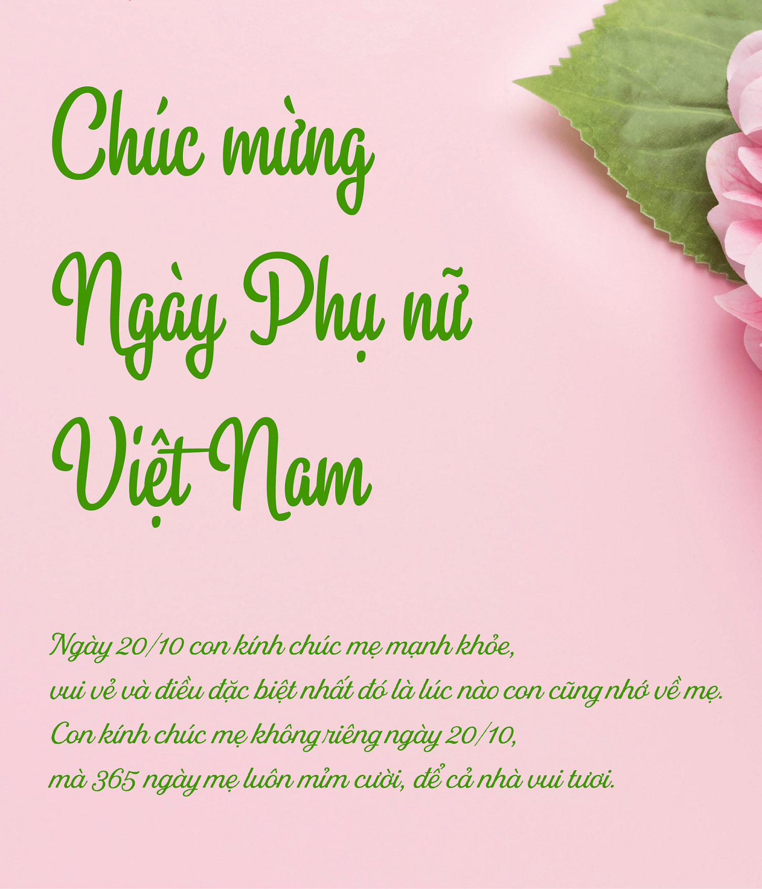 Bộ sưu tập hình nền sắc hoa tuyệt đẹp mừng ngày Phụ nữ Việt Nam 2010   Báo Dân trí