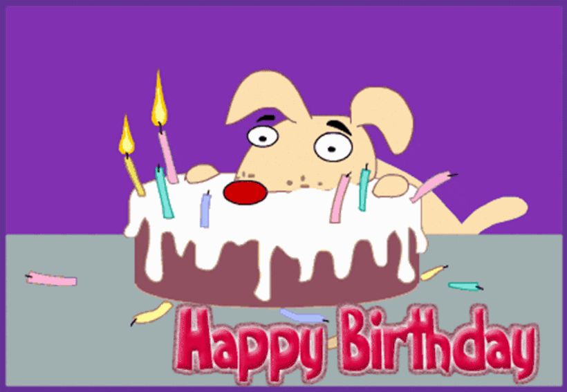 ảnh động chú chó và bánh sinh nhật