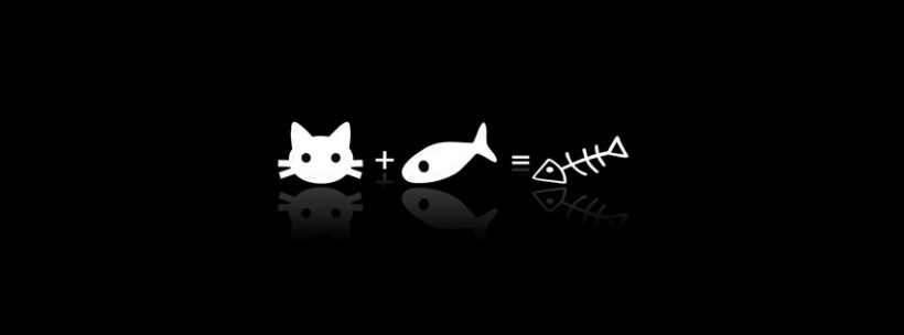 ảnh bìa đen trắng mèo và cá