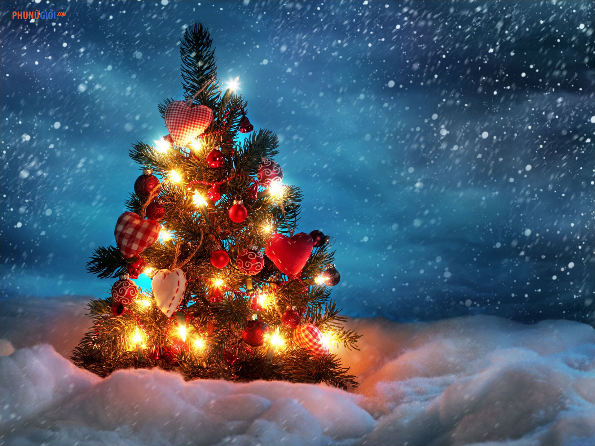 9 cách làm cây thông Noel xinh lung linh đón Giáng sinh an lành  Tin tức  Online