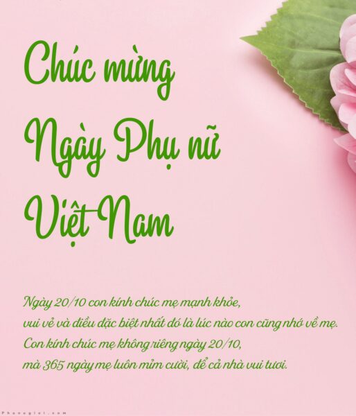 Hình ảnh 20-10 ngày phụ nữ Việt Nam