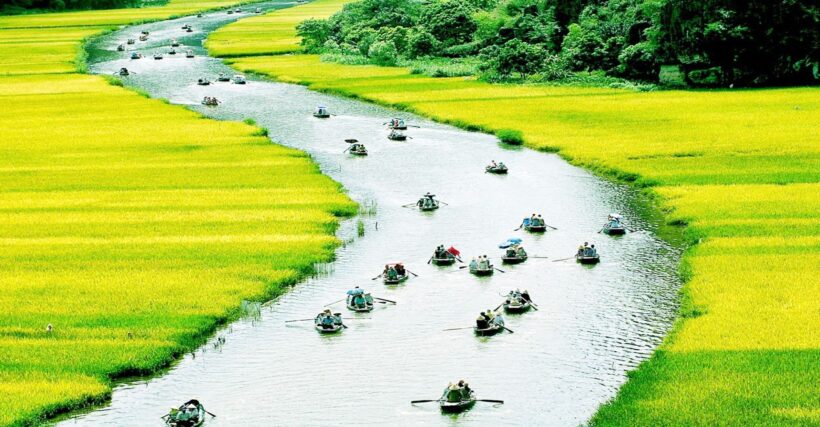 Cảnh đẹp Việt Nam: Việt Nam là một đất nước với nhiều cảnh đẹp thiên nhiên tuyệt đẹp. Từ những bức ảnh của vườn quốc gia, đến những bức ảnh của các thành phố và làng quê, bạn sẽ được tận mắt chứng kiến vẻ đẹp tuyệt vời của đất nước này.