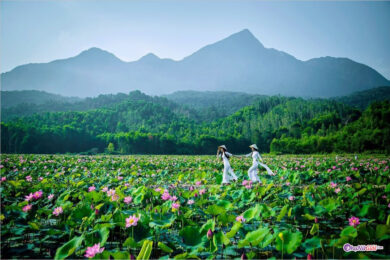 Hình ảnh đẹp thiên nhiên Việt Nam, chất lượng cao