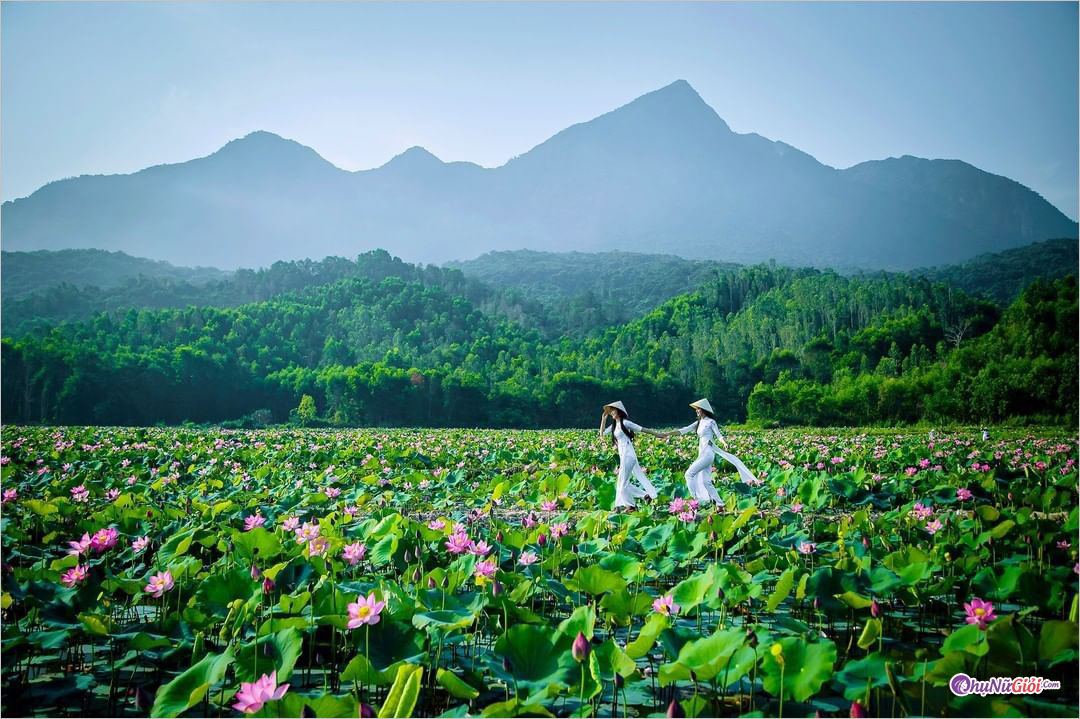 Hình ảnh đẹp thiên nhiên Việt Nam chất lượng cao, Full HD, 4K, sắc nét