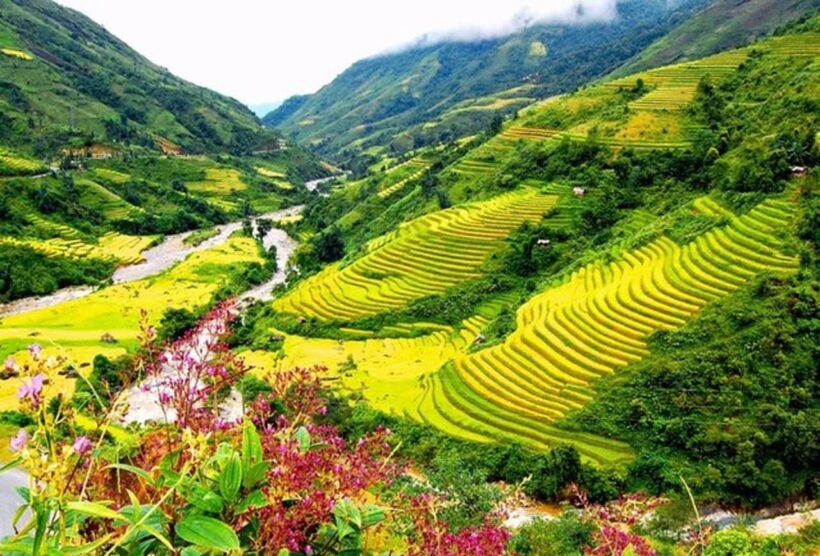 Mẫu ảnh đẹp thiên nhiên Việt Nam (24)