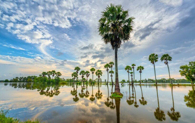 Vẻ đẹp tuyệt vời của thiên nhiên Việt Nam