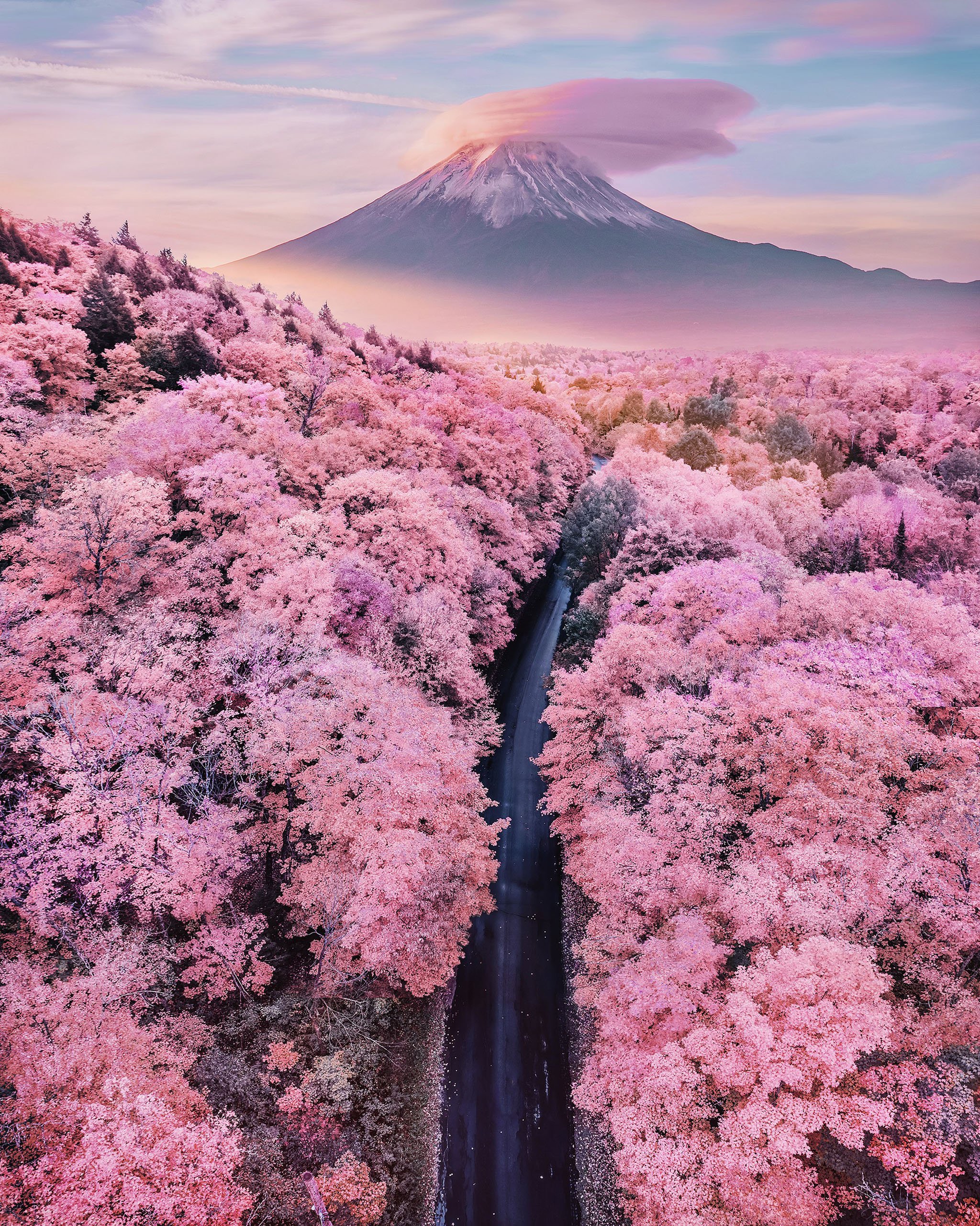 Hãy cùng ngắm ảnh Nhật Bản đẹp với những cánh đồng hoa anh đào, ngôi đền Shinto thần thánh hay những con phố về đêm lung linh ánh đèn. Nét văn hóa đa dạng và sự hòa quyện giữa truyền thống và hiện đại sẽ khiến bạn ngưỡng mộ.