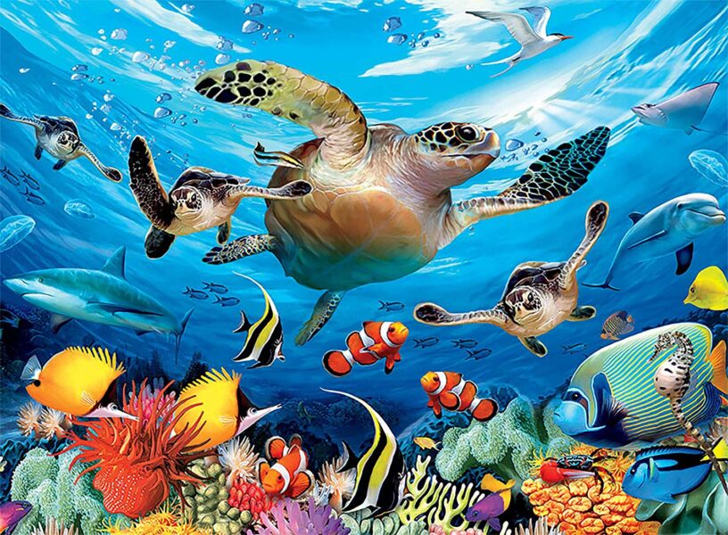 Bức tranh sắc màu các loài sinh vật biển đẹp