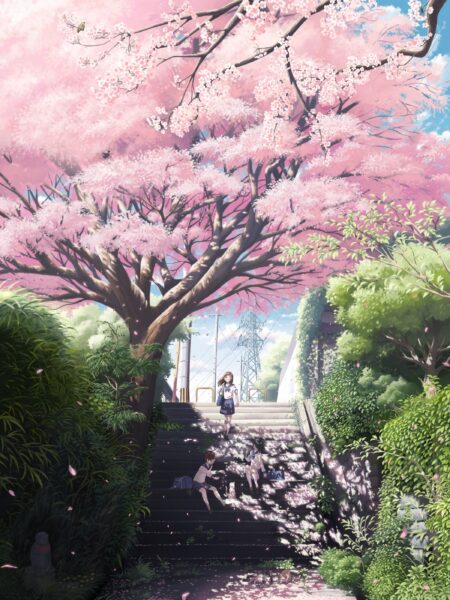 Hình ảnh hoa Anh Đào trong anime