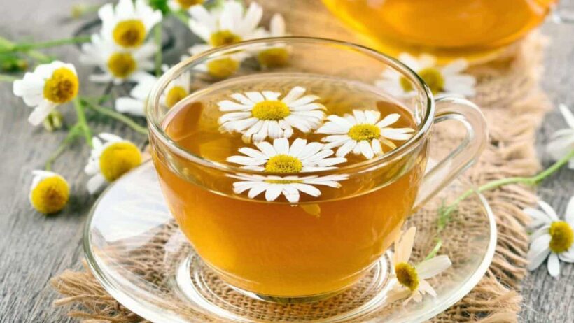 Hình ảnh hoa Cúc và trà