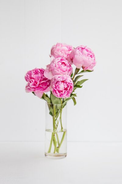 Hình ảnh mẫu hoa để bàn từ hoa mẫu đơn