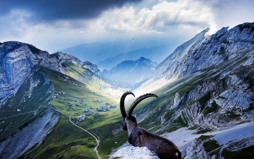 Hình nền  phong cảnh đồi núi Hồ thiên nhiên đường Đám mây Đồi Thung  lũng Vượt núi Hoang dã Alps cao nguyên cây rơm đám mây Đồng cỏ đồng  cỏ Cao