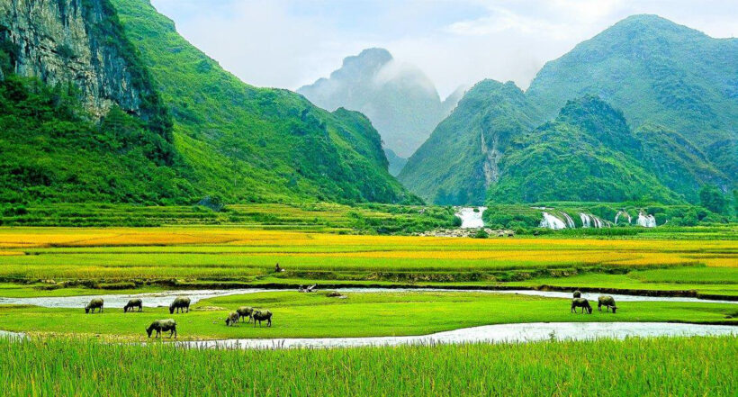 Hình ảnh phong cảnh núi đẹp ở Phú Quốc Việt Nam