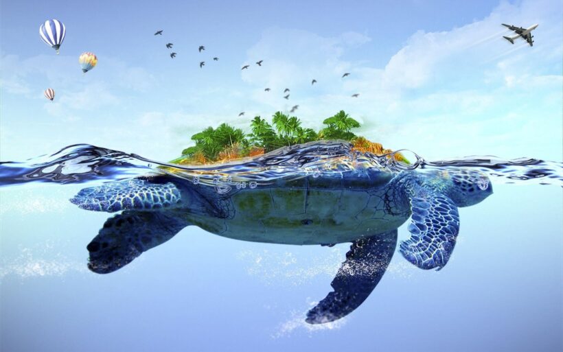 Hình nền con Rùa biển độc đáo nhất