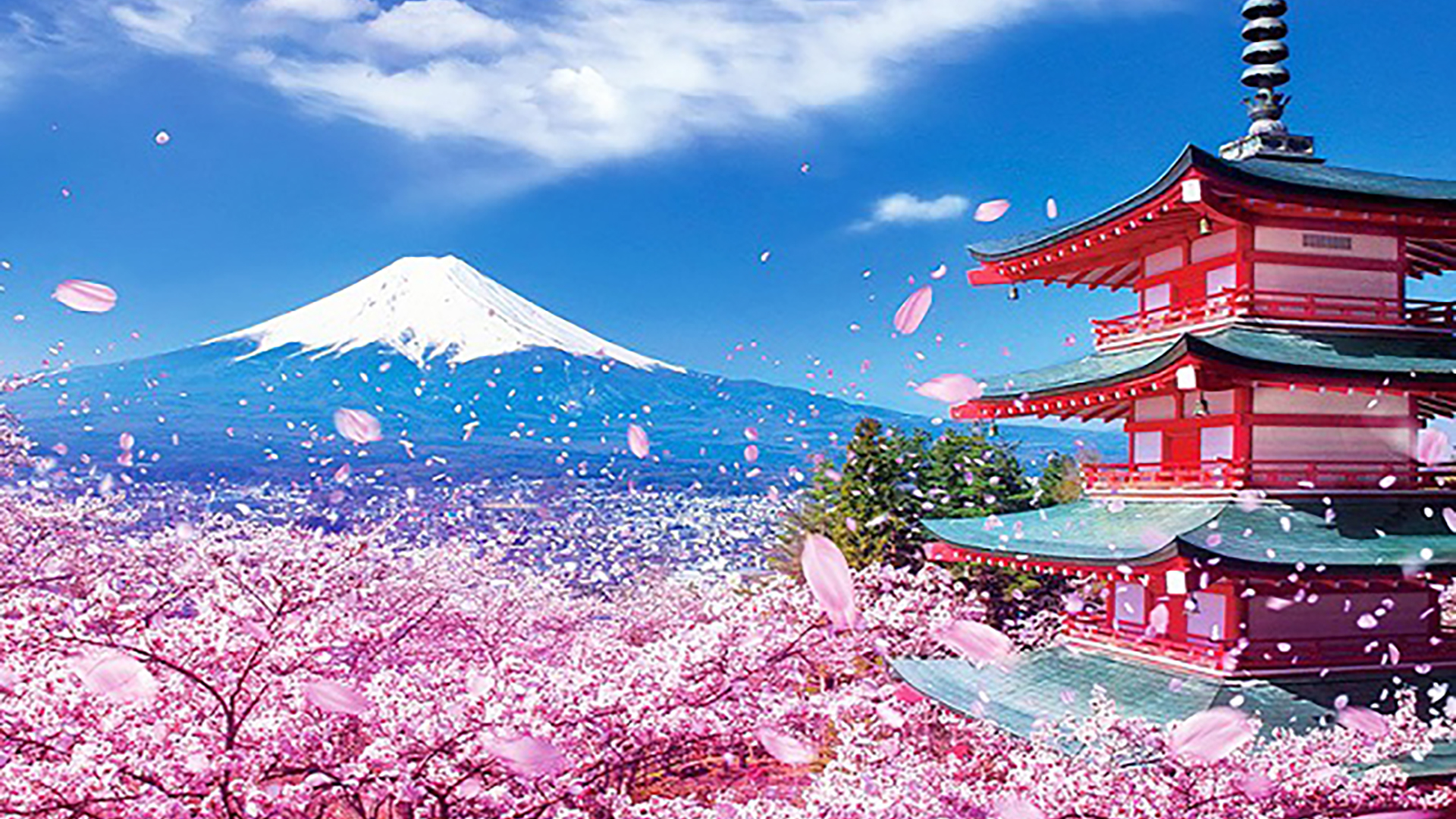 Hình ảnh Nhật Bản Vẻ đẹp Nhật Bản qua ảnh  Japannetvn