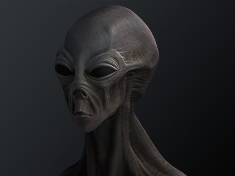 Hình ảnh người ngoài hành tinh được mô tả có màu da xám