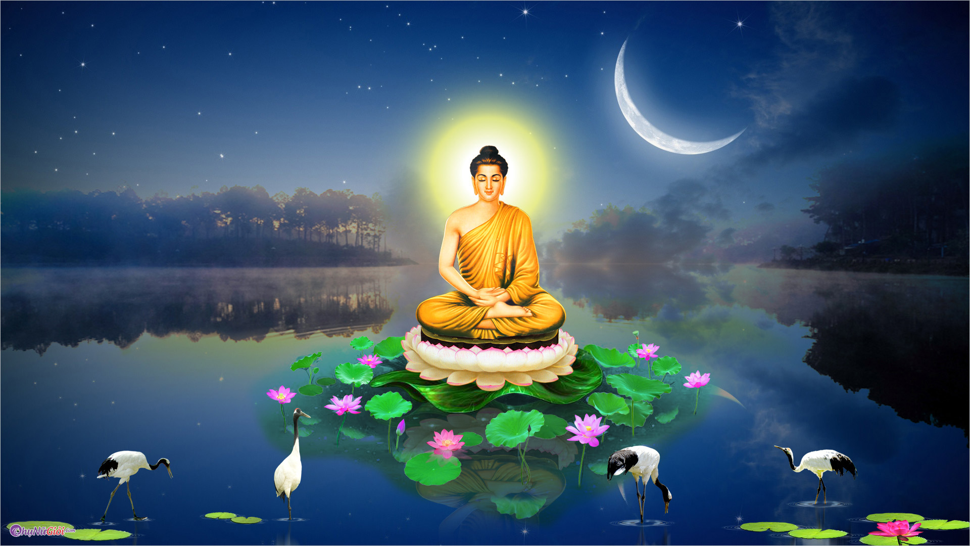 Giờ đây, bạn có thể biến máy tính của mình thành một khu vực tâm linh với hình nền Phật thanh tịnh. Khám phá bức hình đầy nghệ thuật và sự thanh tịnh này, và tạo sự yên bình, sự tập trung, và sự cân bằng trong cuộc sống của bạn.