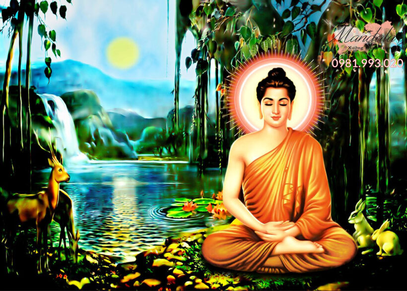 Hình ảnh Phật Thích Ca Mâu Ni ngồi thiền dưới gốc cây Bồ Đề