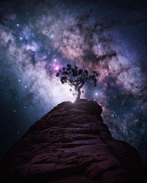 Hình ảnh đêm buồn và cây trên đỉnh núi đá