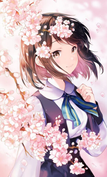 Hình ảnh hoa Anh Đào anime và cô gái