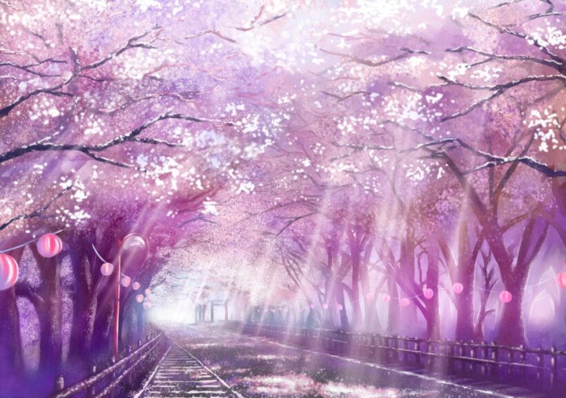 Hình ảnh hoa Anh Đào anime vào ngày xuân