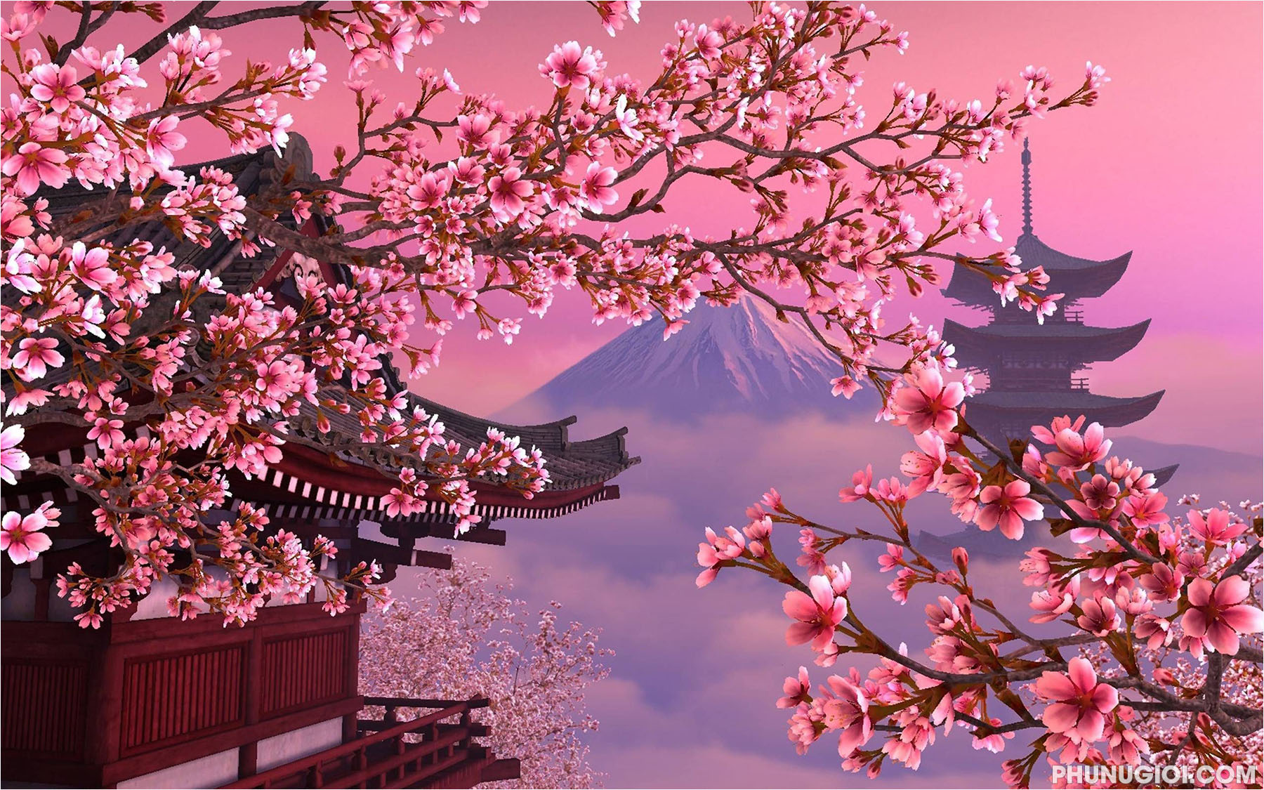 Hình ảnh hoa Anh Đào anime đẹp lãng mạn, nên thơ