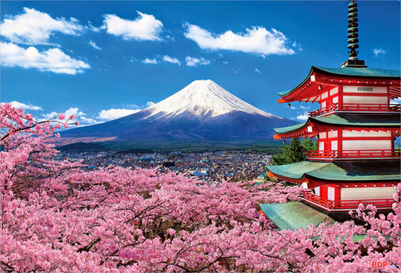 Hình ảnh núi Phú Sĩ mùa hoa anh đào