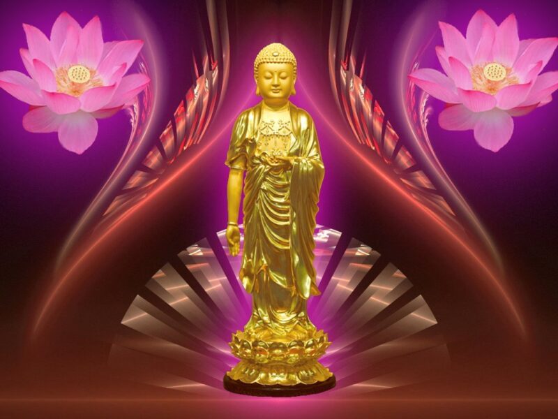 Hình ảnh tượng Phật A Di Đà và những bông Sen