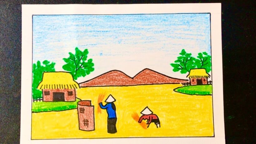 Vẽ tranh về đề tài quê hương phong cảnh cánh đồng lúa