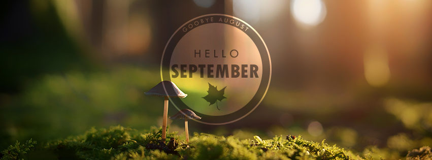 Chào đón mùa thu, hãy trang trí trang Facebook của bạn bằng những bức ảnh bìa chào tháng 9 nhiều màu sắc. Hãy để mùa thu tràn đầy sức sống cho cuộc sống của bạn.