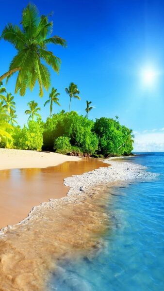 Background biển - Beach nắng chói chang