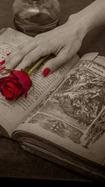Background book - sách và hoa hồng