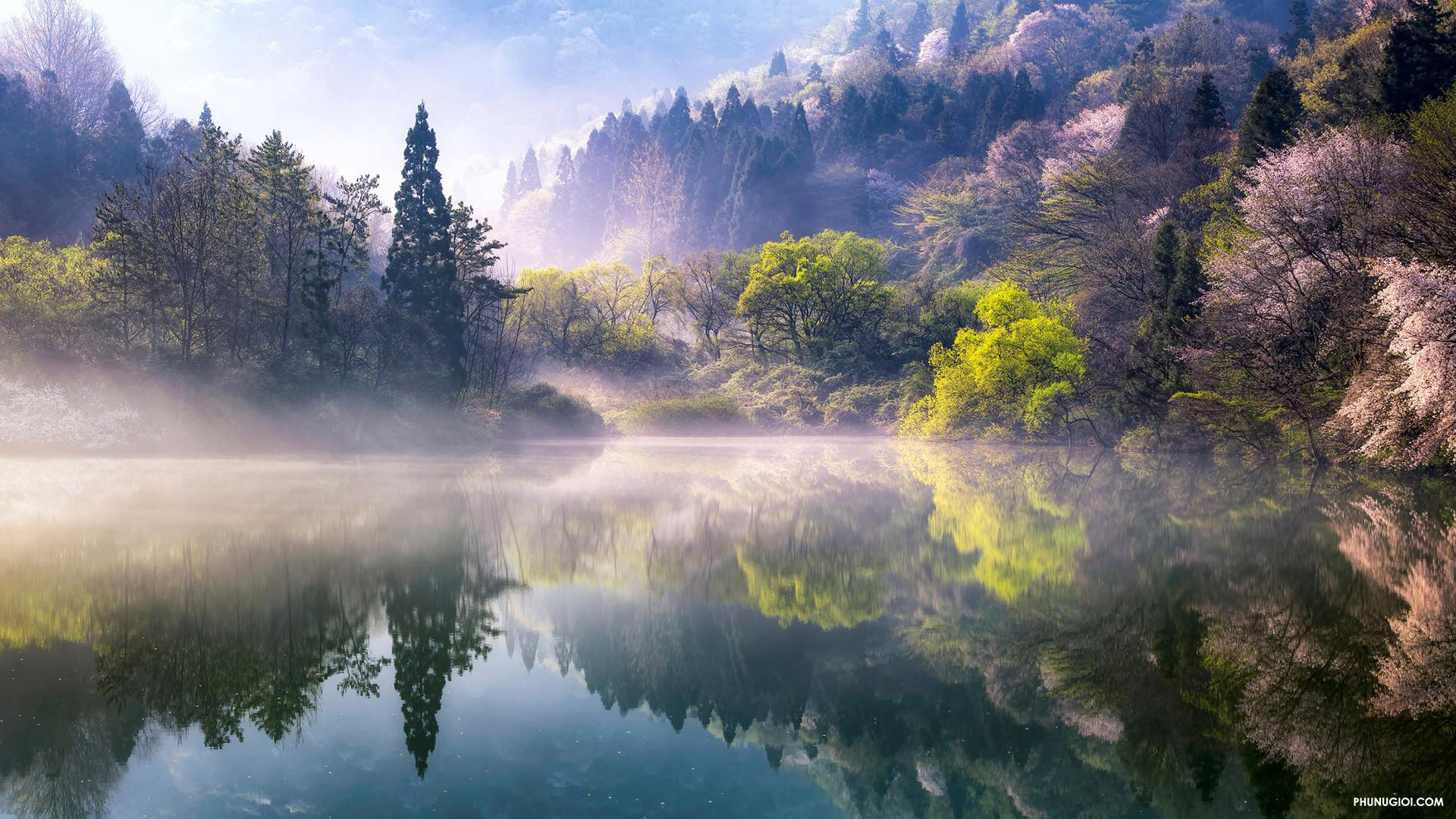Top 100 ảnh nền phong cảnh đẹp đẹp nhất 2023 - Wikipedia