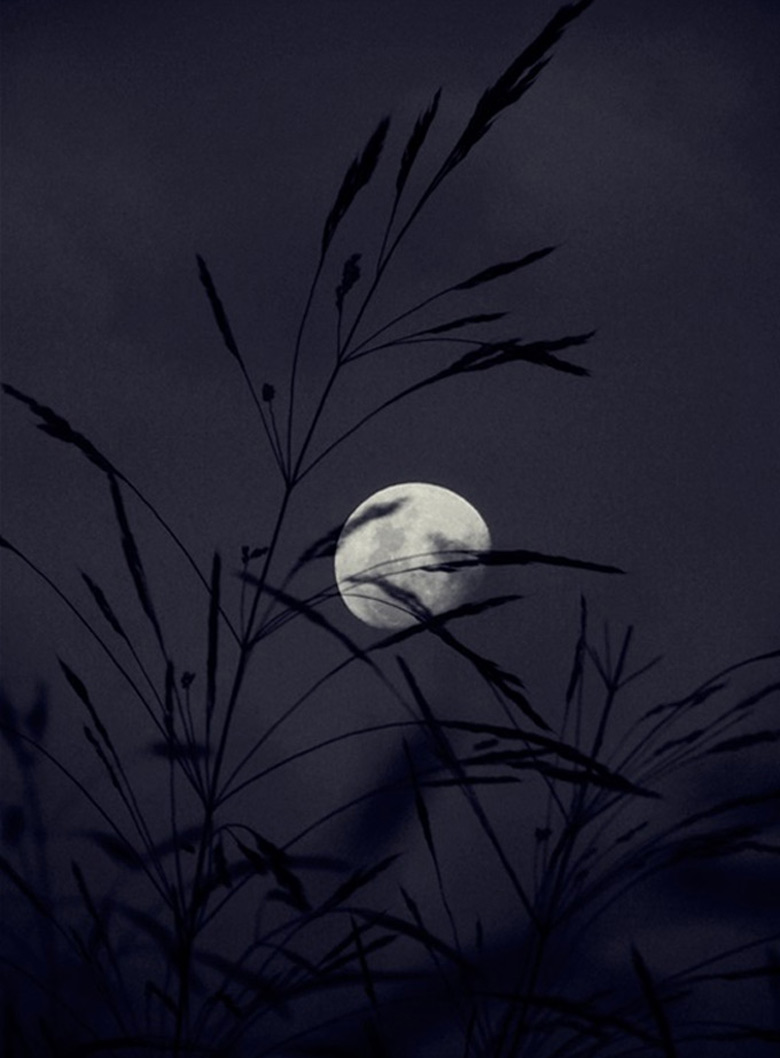 Bộ Sưu Tập Top 999 hình ảnh trăng tròn siêu đẹp  Độ phân giải 4K chất  lượng tuyệt vời