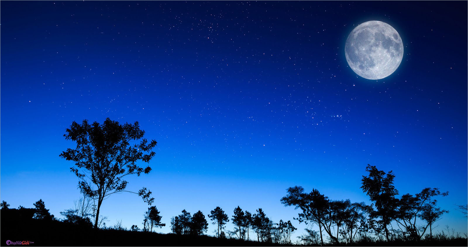 Chùm thơ về trăng buồn cô đơn tâm trạng  Tin Đẹp
