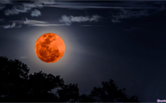 Hình ảnh trăng máu đẹp, ấn tượng nhất